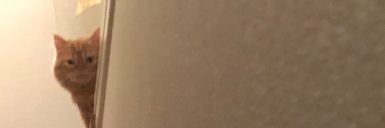 安久津 理子 banner