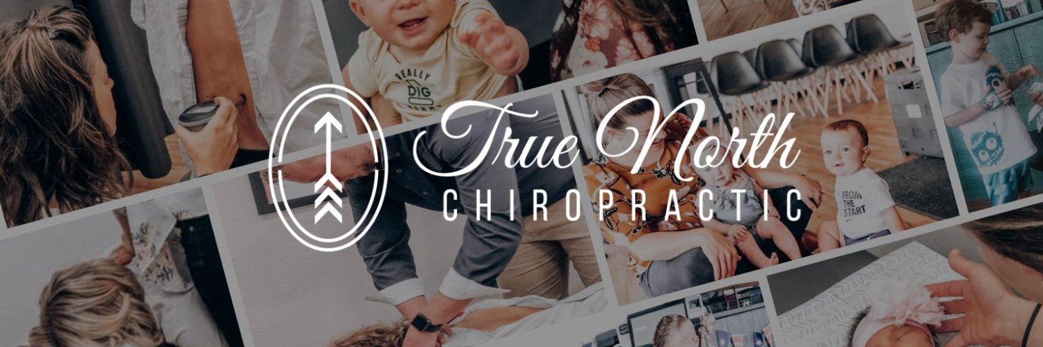 True North Chiropractic banner
