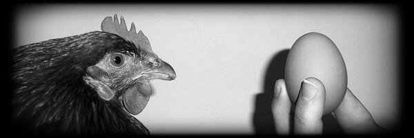 flop8's profile banner image