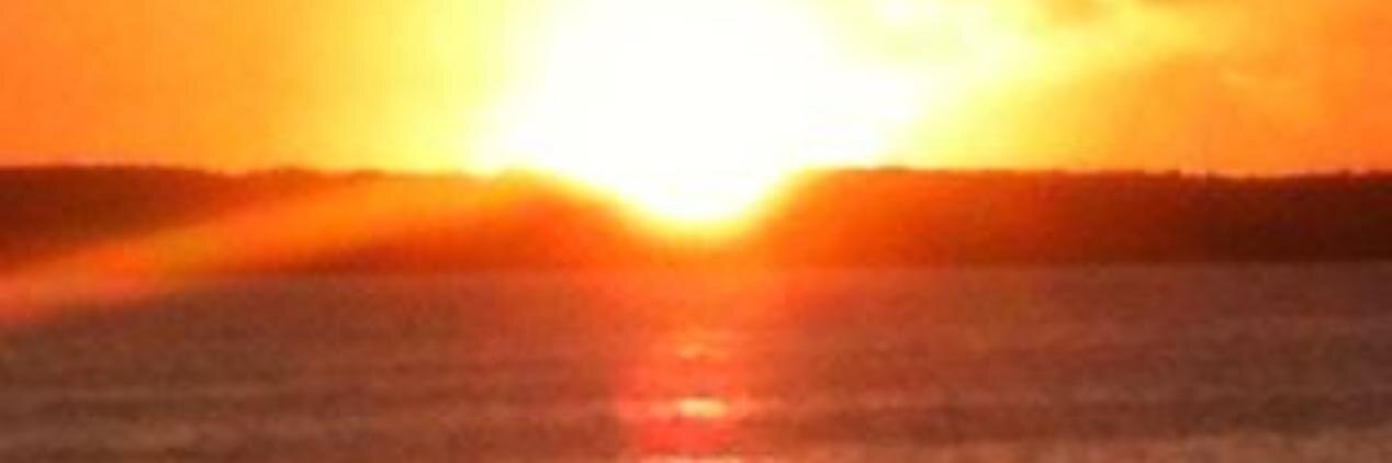 _Pedro Campillo Antón _ banner