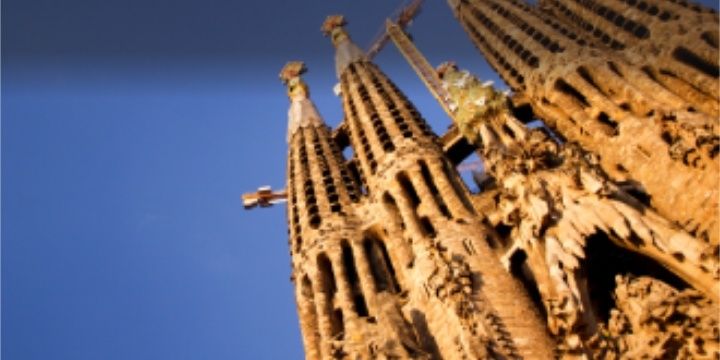 NoviNovividya's profile banner image