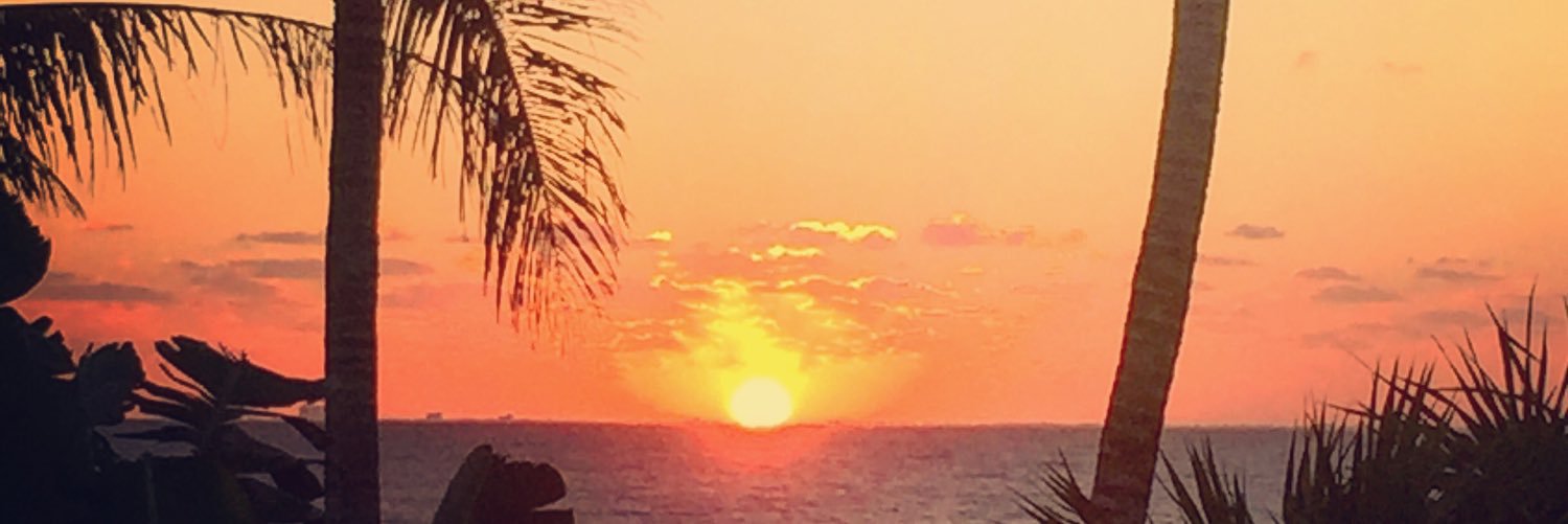 HevBrooker's profile banner image