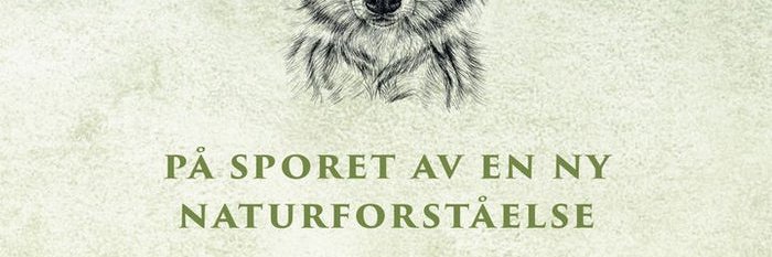 Andrew P. Kroglund banner