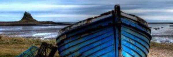 CatbytheC Profile Banner