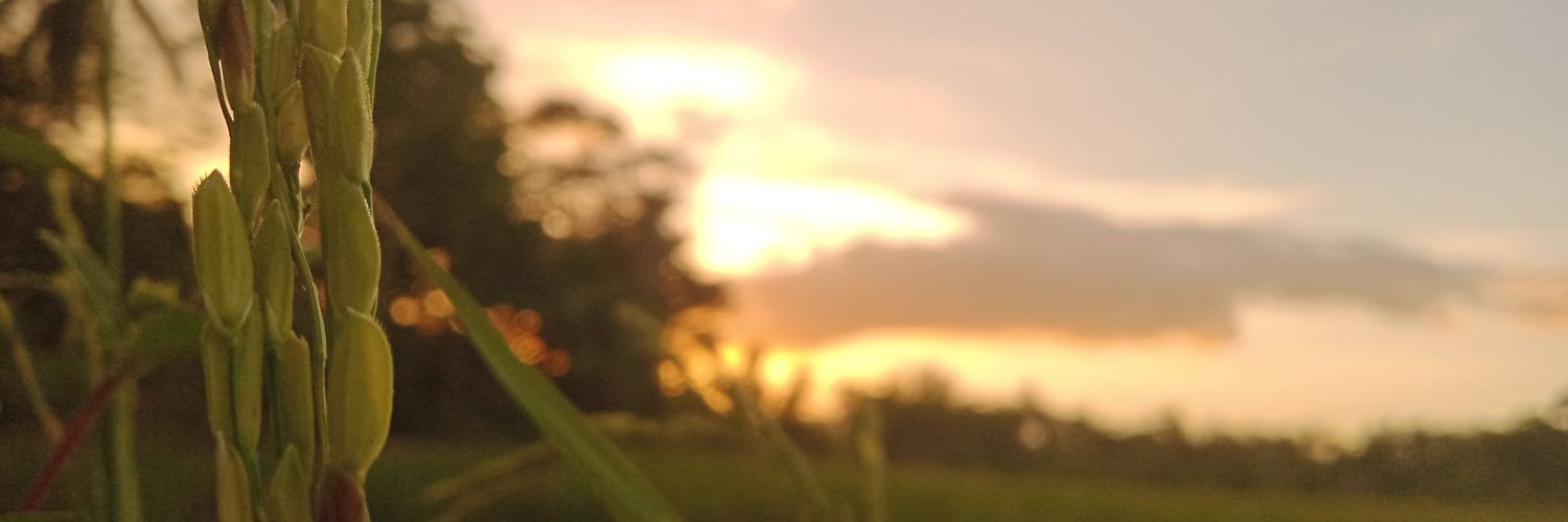 reigna👑 banner
