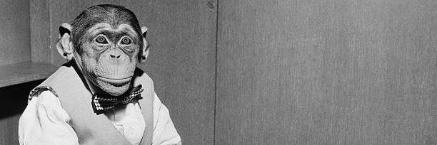 abduljaliru's profile banner image