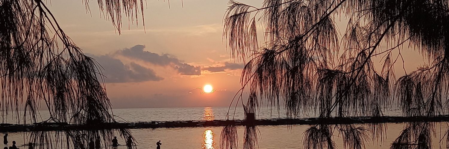 dittanasution's profile banner image