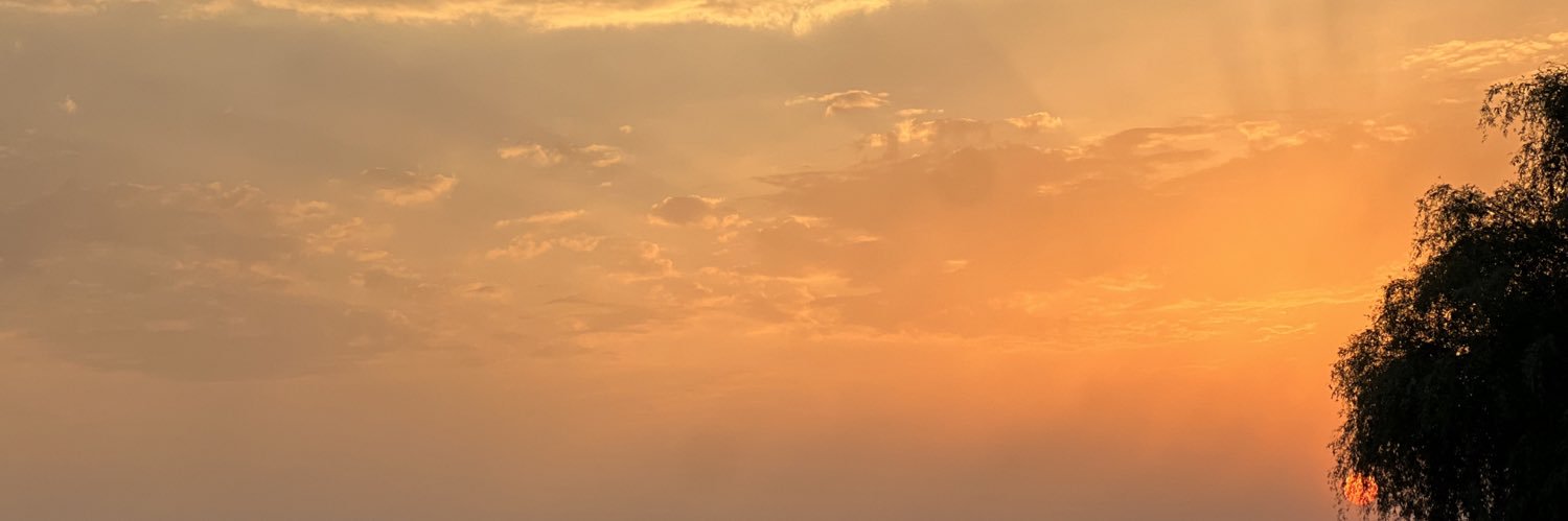 SHMXXX__'s profile banner image