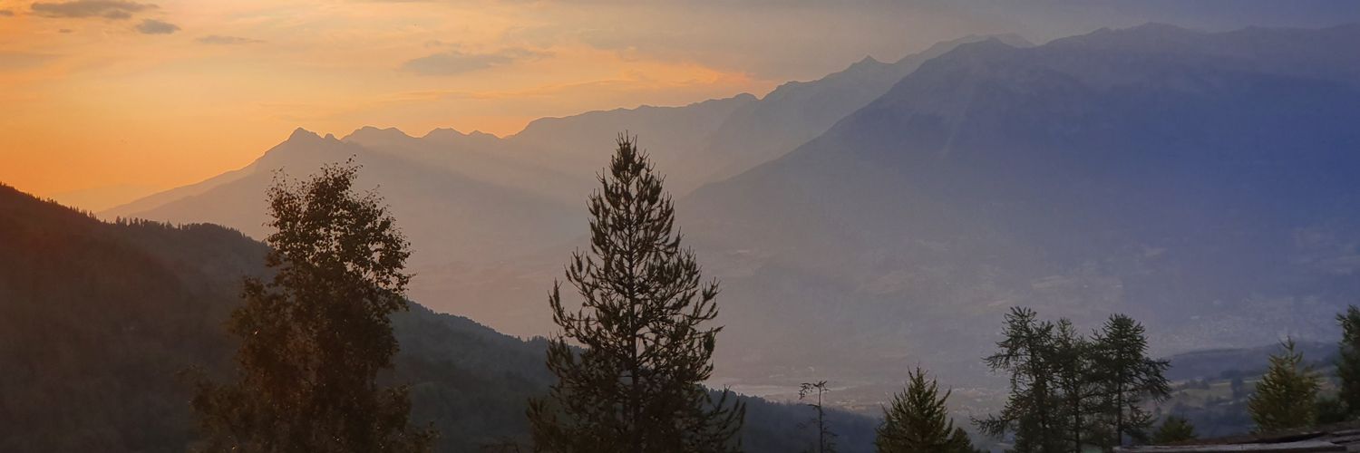 plenum 🇹🇳 banner