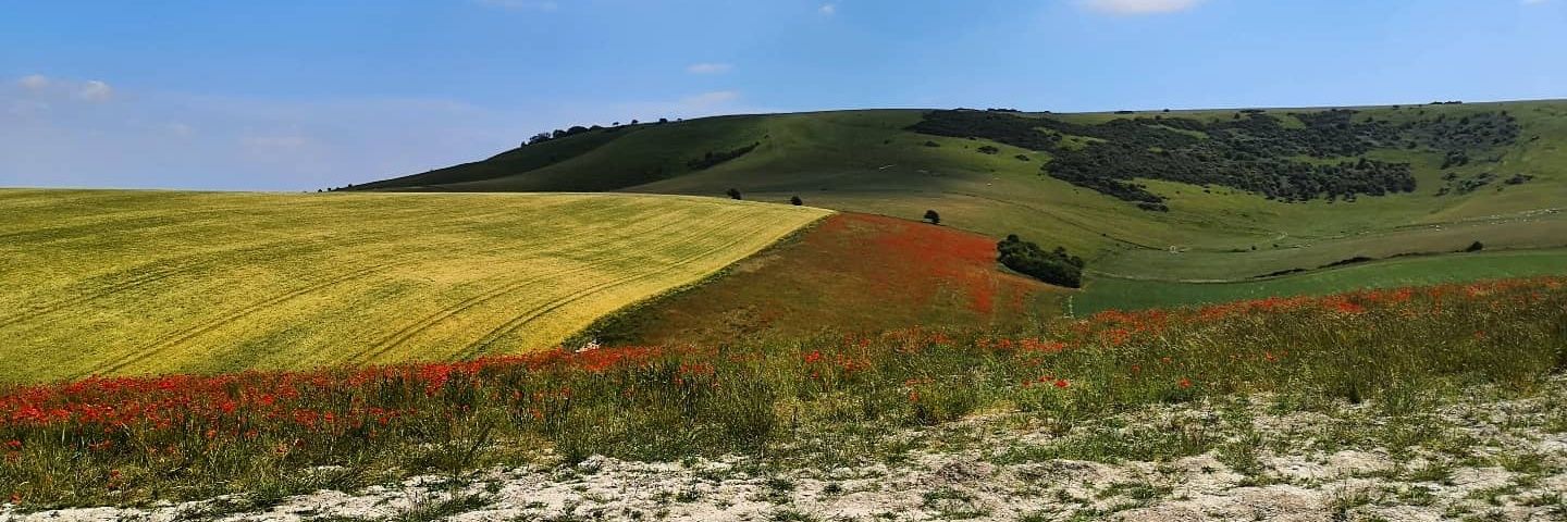 Michelle Arthurs-Brennan banner