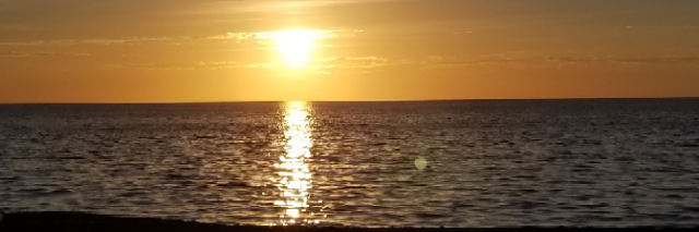 robinspaniel's profile banner image