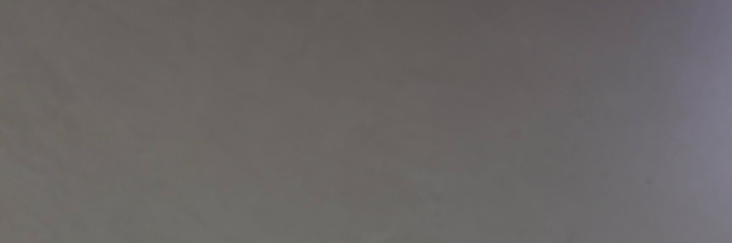 puffu🦦 banner