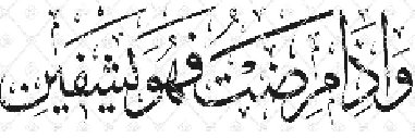 عدو الدجاجلة banner