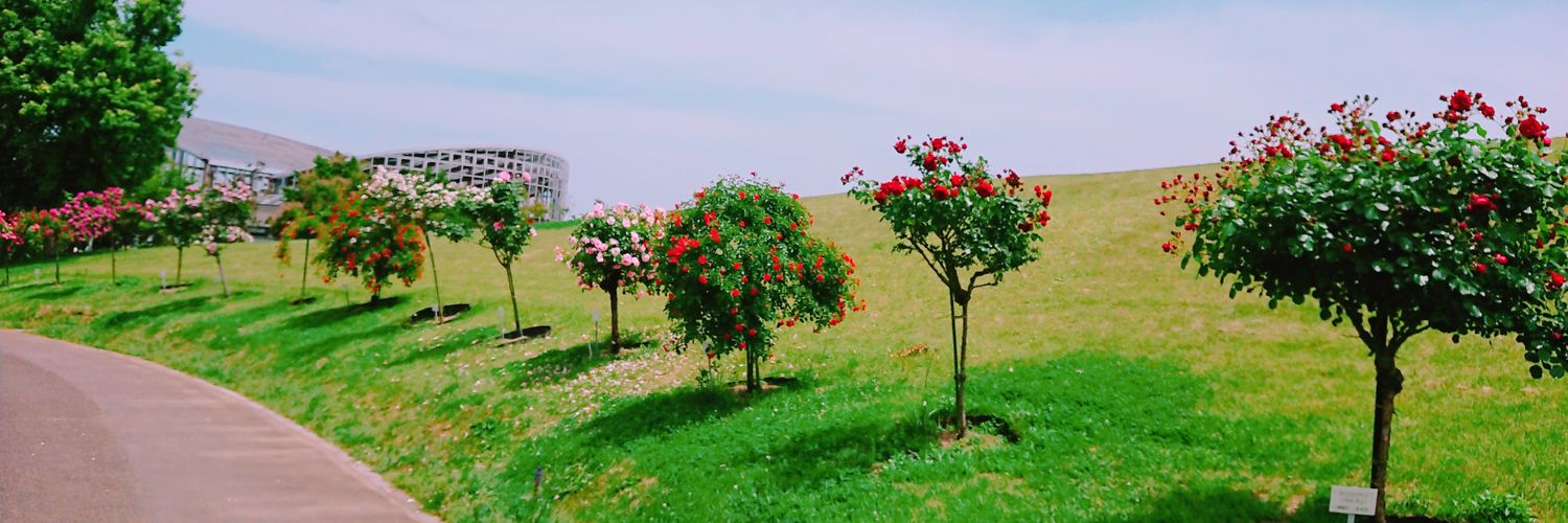 header image