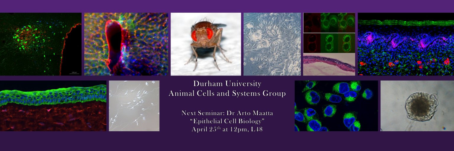 DurhamACAS's profile banner image