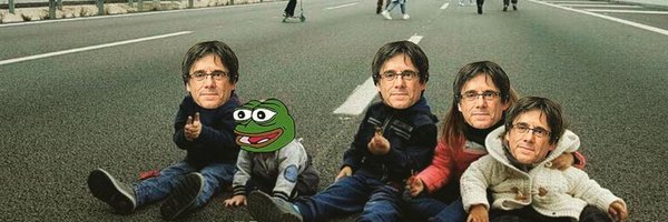 naidelcarrer Profile Banner