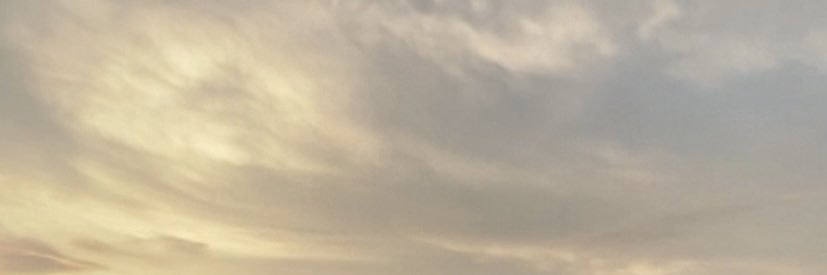 AceyBooRants's profile banner image