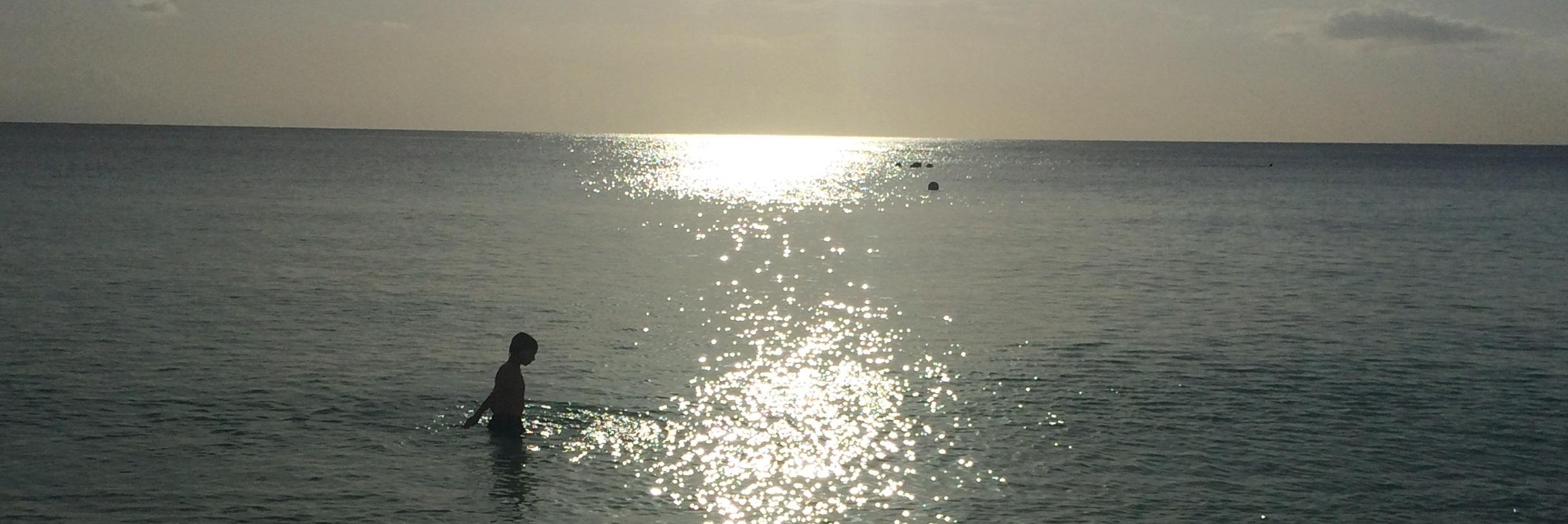 Appleice20's profile banner image