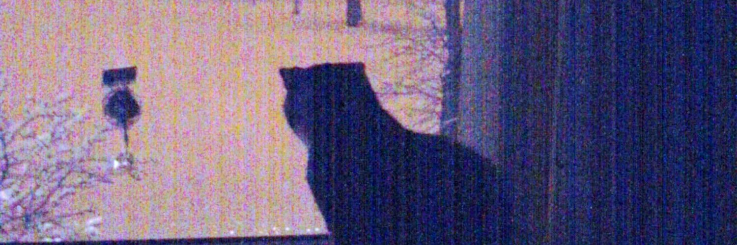 Catherine Lord banner