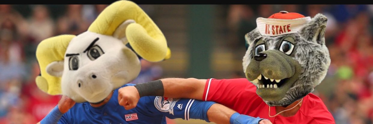 Squashtito's profile banner image