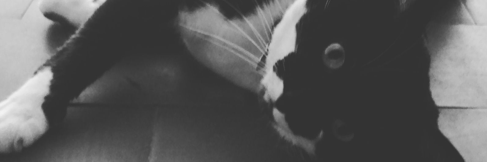 fernandapereeez's profile banner image