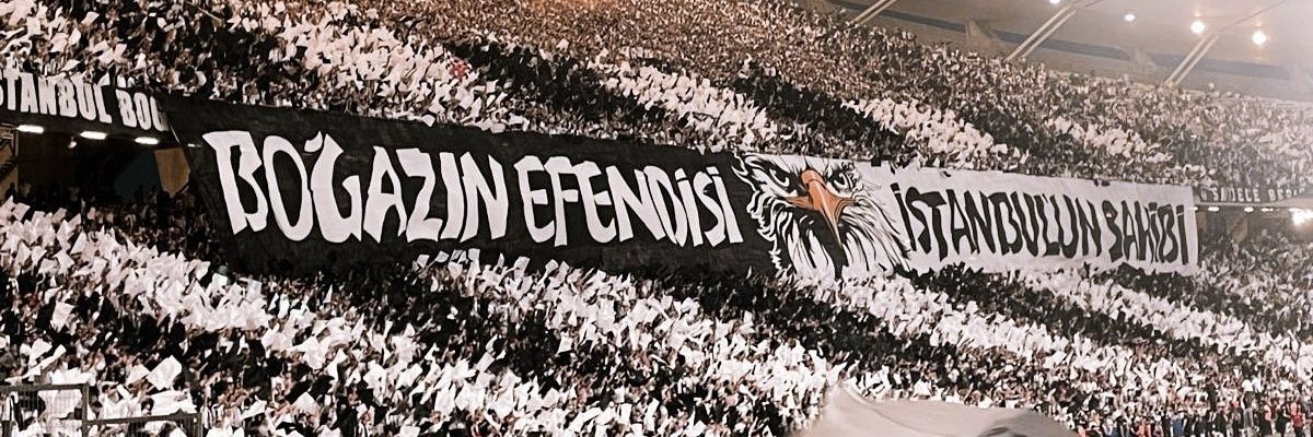 noviscs's profile banner image