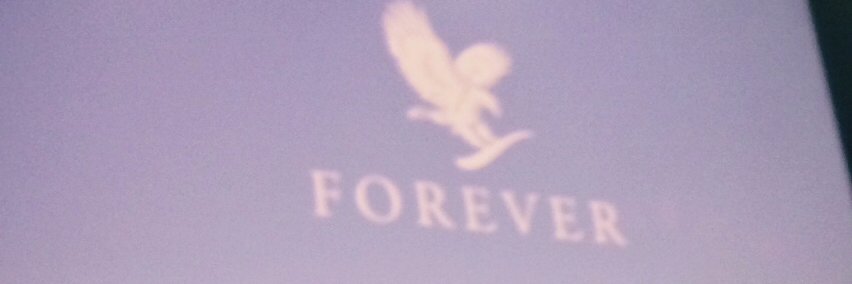 Novlette Williams banner