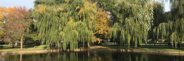 ShannaMatalonMD Profile Banner