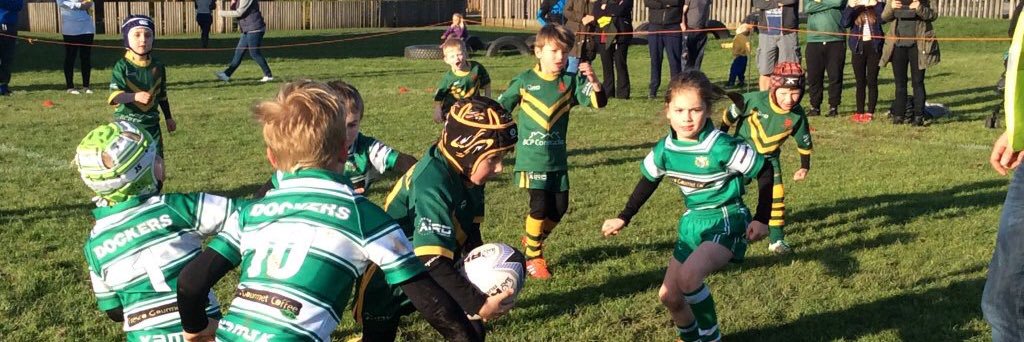 Primary Rugby League banner