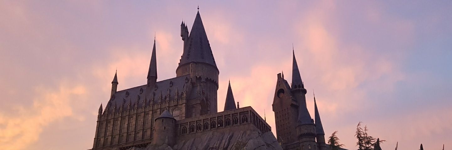 borum_acci's profile banner image