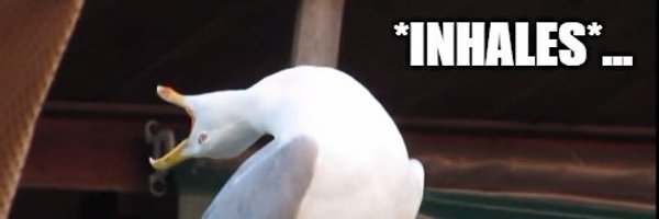 BBmythes Profile Banner