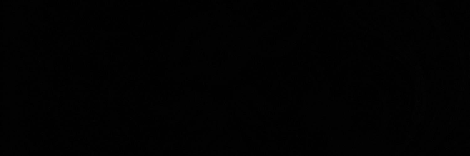 nicoletrapletti's profile banner image