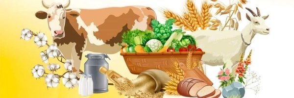 CoagCadiz Profile Banner