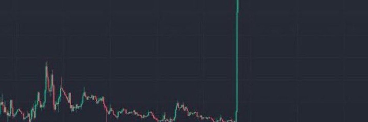 Saviour|Crypto 🐂 banner