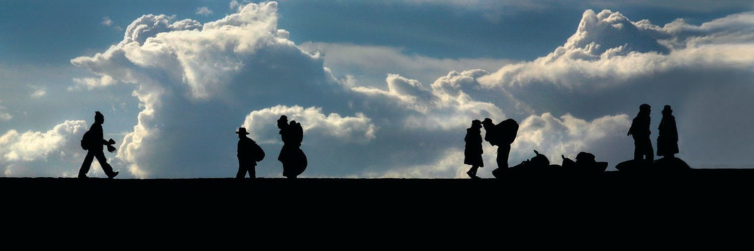 AnaCastanedaCan's profile banner image