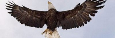 Turnamm's profile banner image