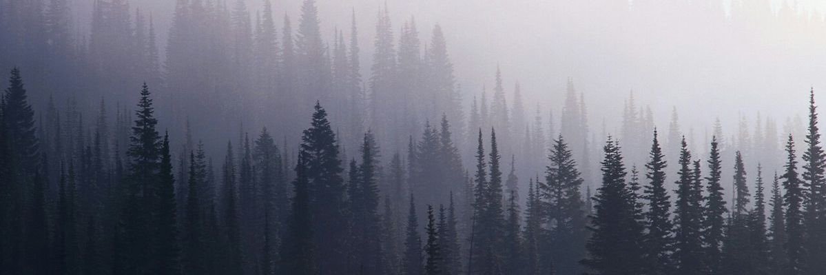 lapsshichkaa's profile banner image