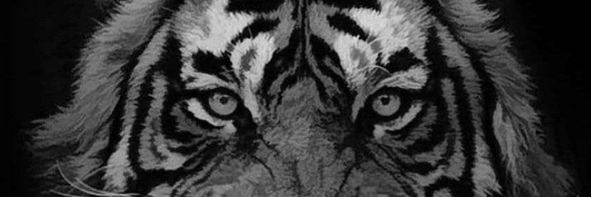 Dave 🇮🇱 banner