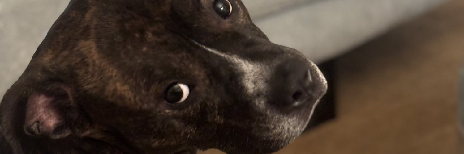 Lil meat Pete banner