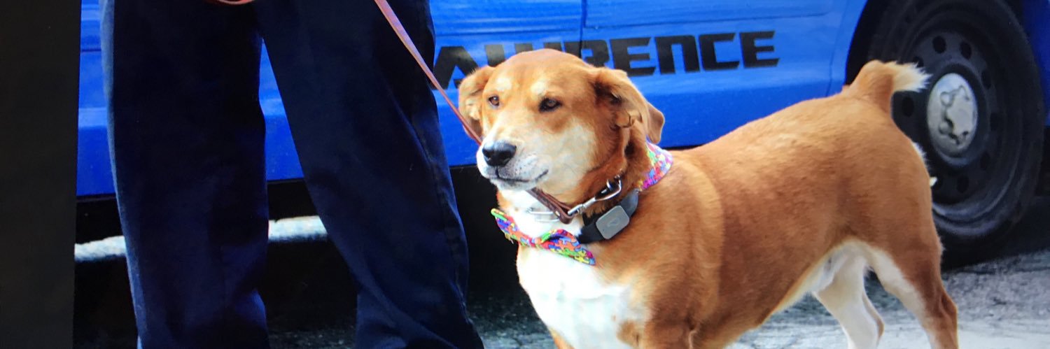 Olliemutt's profile banner image