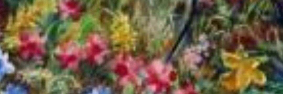 Catkin76 banner