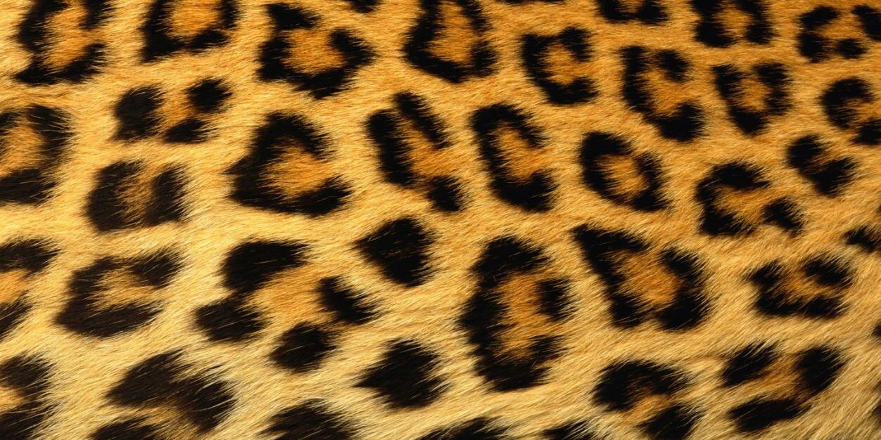 ayucitradewi's profile banner image
