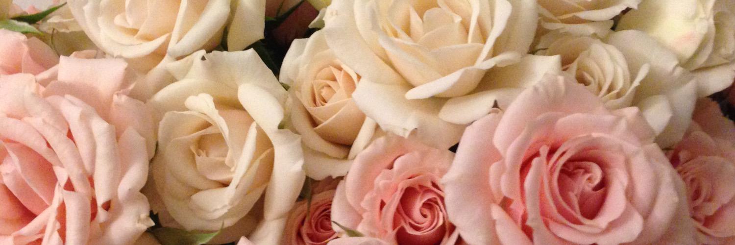 isamora82's profile banner image