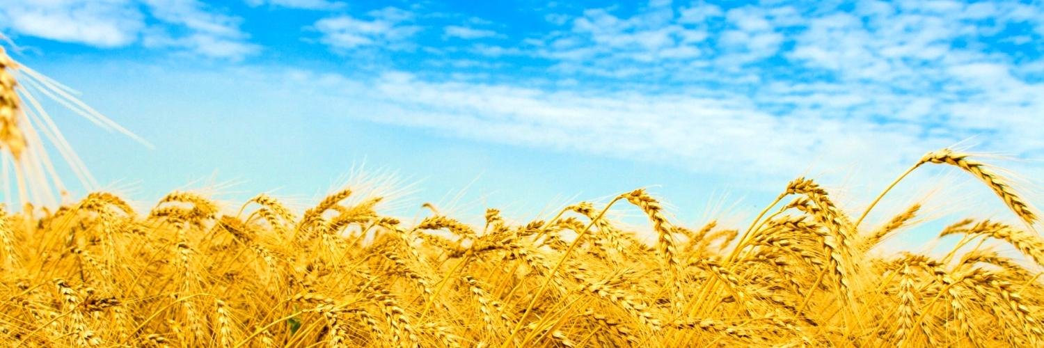 ForexAC's profile banner image