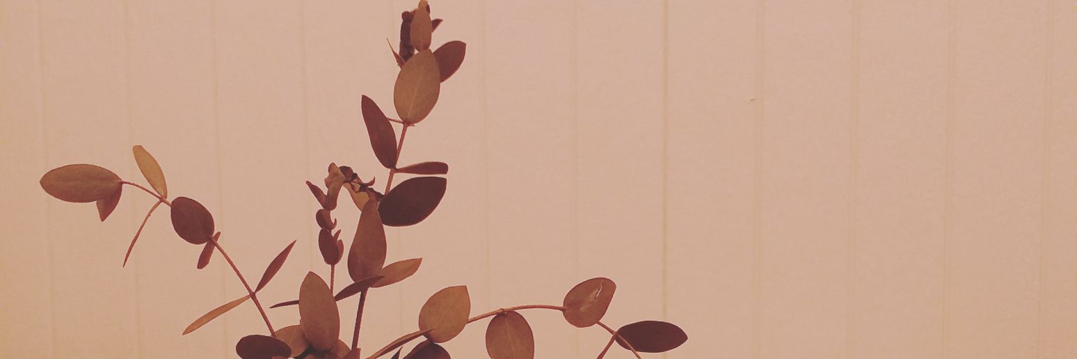 1310xiahtic's profile banner image