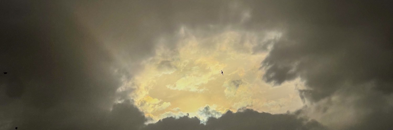 Qon_4's profile banner image