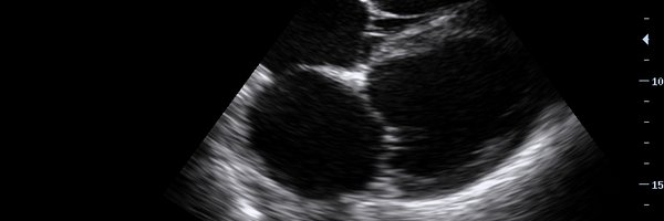 Cook County Ultrasound Profile Banner