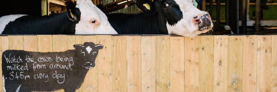 lowsizerghbarn banner