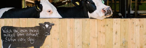 lowsizerghbarn Profile Banner