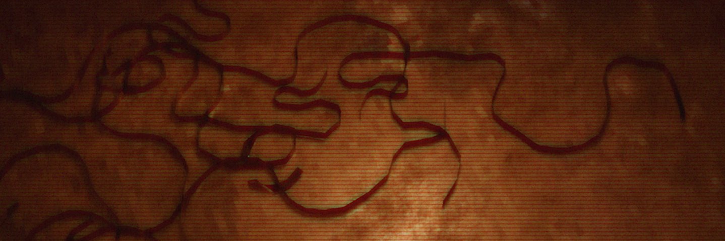 W_W_Studio's profile banner image